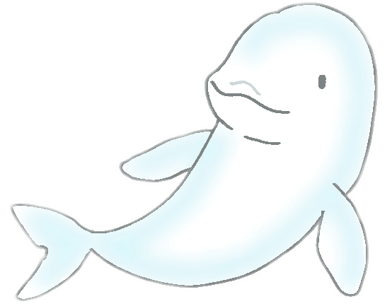 スナメリ イラスト2