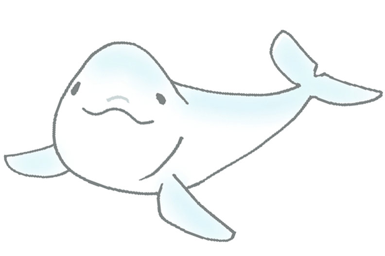 スナメリ イラスト