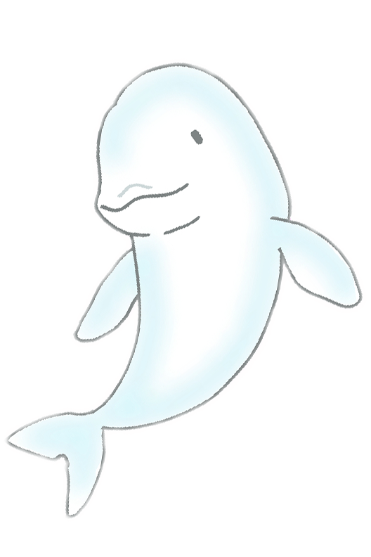 スナメリ イラスト